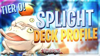 THE NEXT TIER 0 DECK !!! INSANE SPLIGHT DECK PROFILE ! 100% NIBIRU PROOF !!!