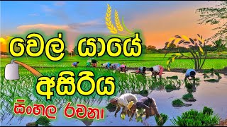 වෙල් යායේ අසිරිය l wel yaye asiriya l කෙඒය්ක් සුන්දරත්වය l rachana l පෙරහුරු රචනා සිංහල