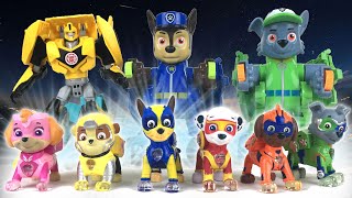 Paw Patrol MIGHTY PUPS Become Transformers to Defeat Decepticons || Playtime with Keith's Toy Box
