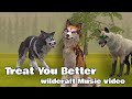 Treat you Better//Wildcraft music video//desc