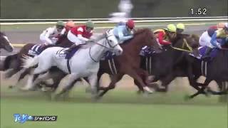 【競馬】第35回ジャパンカップ（GI）2015/11/29結果　1着ショウナンパンドラ