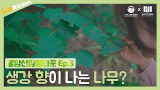 불암산 힐링타운 ep3.생강향이 나는 나무?_온라인생태교육_노원환경재단