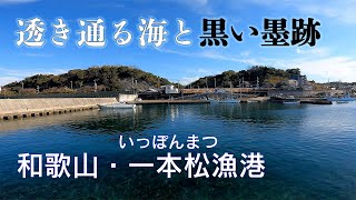 【釣り場動画#50】和歌山南紀・みなべ町の一本松漁港、エギングが面白いアオリイカの実績十分の漁港