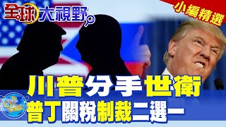 川普分手世衛|普丁關稅制裁二選一【全球大視野】精華版 @全球大視野Global_Vision