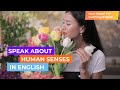 Learn About Human Senses In English (b1+/b2): Over 30 Words Explained With Examples