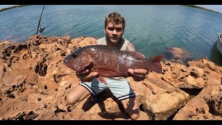 Fishing for GIANT Mangrove Jack, THE BUDDAS GONE MAD!