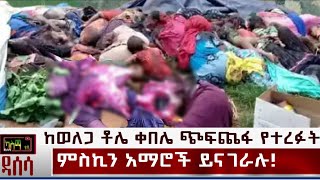 Ethiopia: ከ ቶሌ ቀበሌ ጭፍጨፋ የተረፉት አማሮች ዛሬም ይናገራሉ!