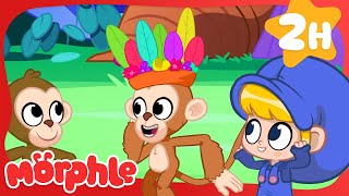 Morphle na Selva 🐒🌴 | Morphle em Português | Desenhos em Portugues | Desenhos