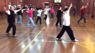 Knox Chinese Elderly Citizens Club, Tai Chi Quan