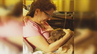 Finding Support After Losing a Loved One