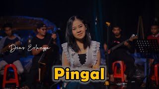 Pingal Cover By Dapur Musik Project Live Session...