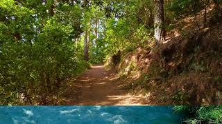 পাহাড় জঙ্গলে প্রাকৃতিক পরিবেশে অভিযান - Adventure in the Natural Environment of the Mountain Jungle