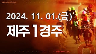 (제주) 2024.11.01 1경주