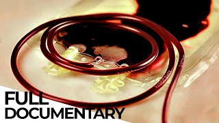Blood Business: How the Plasma Industry Works | ENDEVR Documentary