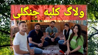 😍ولاگ یه سفر باحال😋درختارو