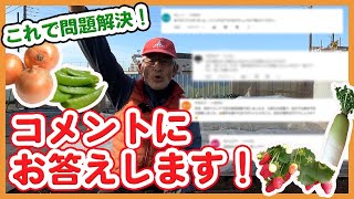 秋冬野菜の質問に回答！家庭菜園や農園で人気の玉ねぎ栽培や大根栽培などコメントが多かった５ジャンルの質問にお答えします！【農家直伝】