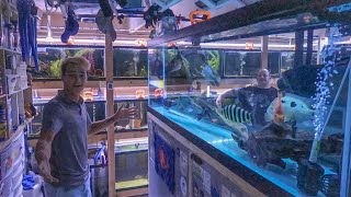 ULTIMATE BASEMENT FISH COLLECTION!!!