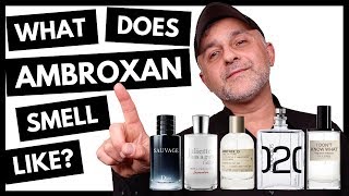 What Does Ambroxan Smell Like? | What Is Ambroxan? | 5 Popular + Favorite Ambroxan Fragrances