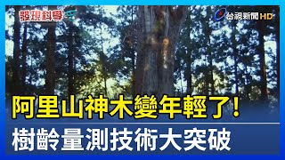 阿里山神木變年輕了! 樹齡量測技術大突破【發現科學】