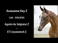 NR 34 Awesome Key Z - Aganix colt with Narcotique de Muze genes!