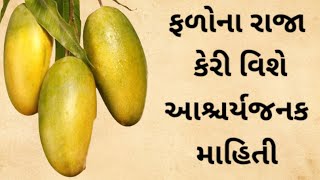 ફળોના રાજા કેરી વિશે આશ્ચર્યજનક માહિતી | moral stories | gujarati stories | lessonable story |