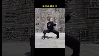 这才是太极拳的爆发力！ 陈氏太极拳 武术 中华武术博大精深 发扬传武精神