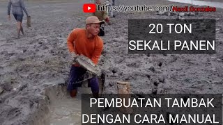 Pembuatan tambak tradisional dengan cara manual