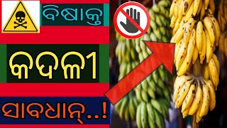 ବିଷାକ୍ତ କଦଳୀକୁ ସାବଧାନ | Side Effects of Fruit Ripening Chemical Addition To Bananas | Part -1