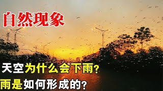 自然现象，天空为什么会下雨？而雨又是如何形成的？