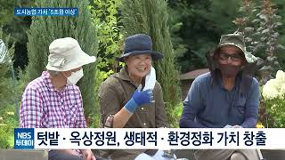 정부, 도시농업의 가치 첫 통합분석···‘5조원 이상’ 추산