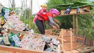 Building A Pigeon Coop - Single Mother Collects Trash and Discovers Something Surprising