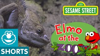 What do Zoo Animals Eat? (Elmo at the Zoo #2)