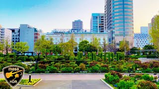 [4K HDR] 横浜 山下公園 港の見える丘公園 横浜散歩 2022.4 Yamashita Park Harbor View Park Yokohama Walk