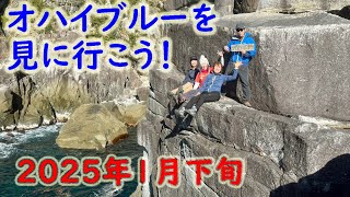 【オハイブルーを見に行こう！】オハイ・頂山　2025年1月下旬