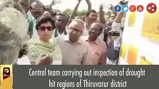 Central team carrying out inspection of drought hit regions of Thiruvarur district