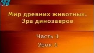 Эра динозавров. Урок 1.1. История открытия динозавров