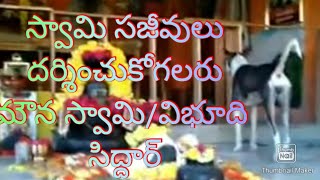 మహాత్ములు-సజీవులు. అరుణాచలం వెళ్లిన వారు దర్శించుకోగలరు. విభూతి /mouna swami siddar.