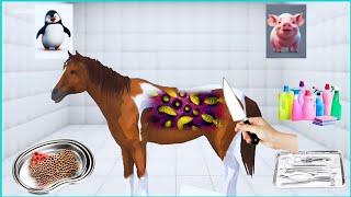 Oddly Satisfying Horse Surgery ASMR 🐴 | Deep Cleaning \u0026 Treatment Sounds