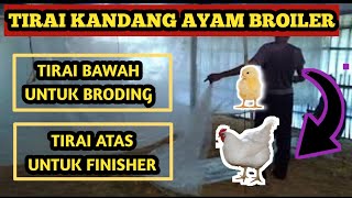 TIRAI BRODING DAN TIRAI DEFLEKTOR KANDANG AYAM BROILER