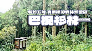 「逗陣來露營」#camping #vlog 35 之 新竹五峰 巴棍杉林｜開箱製冰機｜雨棚５帳｜森林系｜冰涼仙草湯｜露營吃什麼