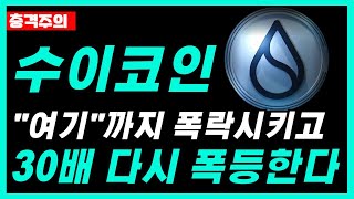 [수이코인 전망]다시 30배 폭등 시나리오