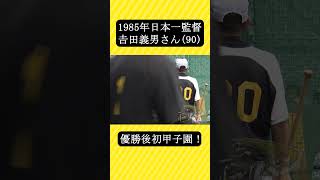 【日本一監督】𠮷田義男さん(90)が甲子園へ！ #虎バンチャンネル #プロ野球 #𠮷田義男 #阪神タイガース  #岡田彰布 #shorts #short