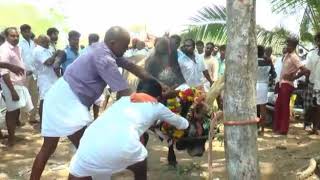 Idayamelur jallikattu