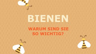 Bienen – warum sind sie so wichtig?