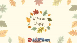 [LIVE] 운양순복음교회_주일예배(241110)