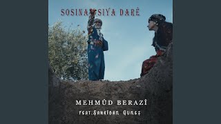 Sosina Siya Darê (feat. Şahrîban Guneş)