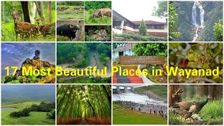 17 Most attactive Places To Visit In Wayanad | വയനാട്ടിൽ നിങ്ങൾ കണ്ടിരിക്കേണ്ട 17 സ്ഥലങ്ങൾ