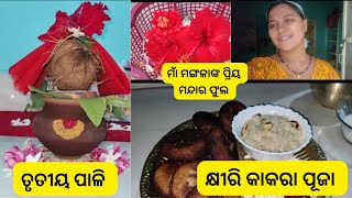 ଆଶ୍ଵିନ ମାସର ନିଶା ମଙ୍ଗଳବାର||ତୃତୀୟ ପାଳି||ମାଁ ମଙ୍ଗଳାଙ୍କ ଦୟା||#swayanwithdailymasti #dailyvlog #odisha