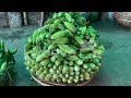 பாகற்காய் பற்றிய ஆச்சிரியமான தகவல்கள் intersting facts of bitter gourd