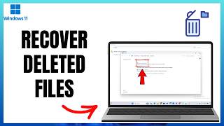 Did You Delete Important Files? Here Is How To Recover Them! 2026 Update
